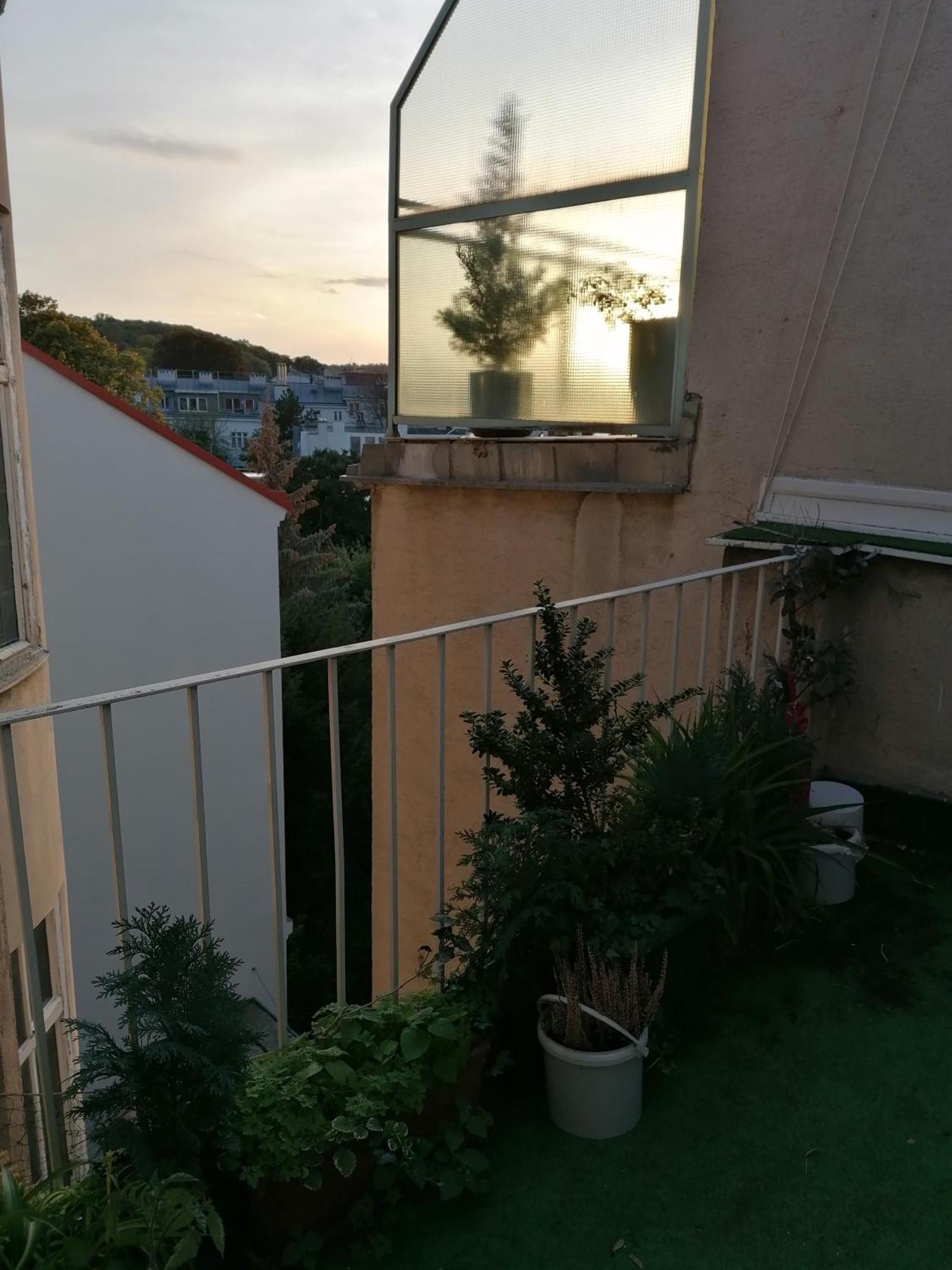 Apartamento Bioparadies Viena