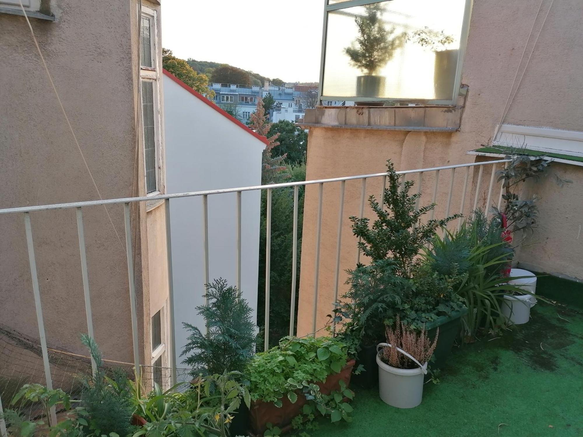 Apartamento Bioparadies